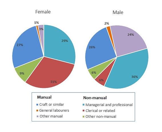 The two pie charts give information on the propotion of males and females in employment in six general categories in 1992, they divided into manual and non-manual. Manual occupation includes Craft or similar, General labourers and other manua