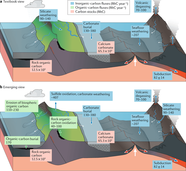 The diagram shows differences in temperature zones between tropical mountains and temperate mountains Summaries the information by selecting and reporting the main features, and make comparisons where relevant.