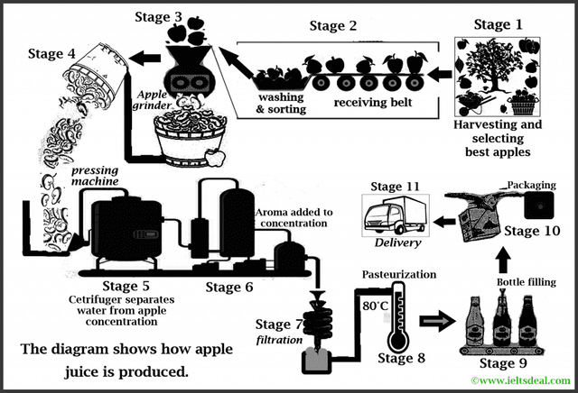 The diagram shows how concentrated apple juice is oroduced.