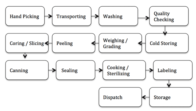 the diagram below shows the multistage production of pears as can fruit