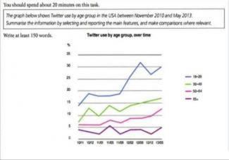 The graph below shows Twitter use by age group in the USA between November 2010 to May 2013.

Summarize the information by selecting and reporting main features, and make comparisons where relevent.