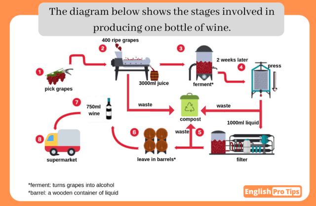 The diagram below shows the stages involved in producing one bottle of wine.