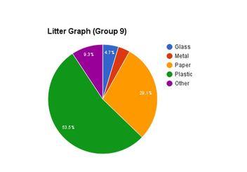 The charts below show the types of litter collected on one day at two different parts of a beach. summarize the information by selecting and reporting the main information and making comparisons.