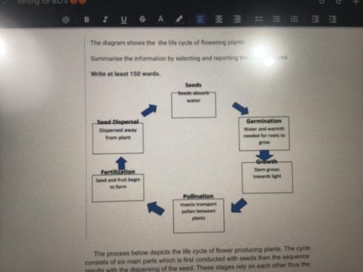The diagram shows the life cycle of flowering plants. Summarize the information by selecting and reporting the main features.