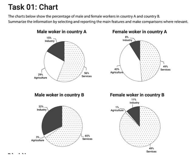 The charts below show the percentage of male and female workers in country A and country B. Summarize the information by selecting and reporting the main features and make comparisons where relevant.