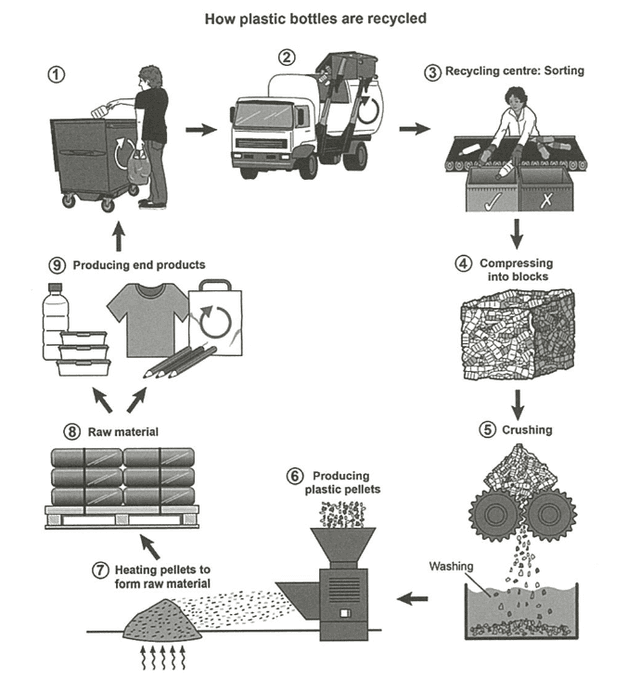 The diagram shows the process for recycling plastic bottles. Summarise the information by selecting and reporting the main features, and make comparisons where relevant.