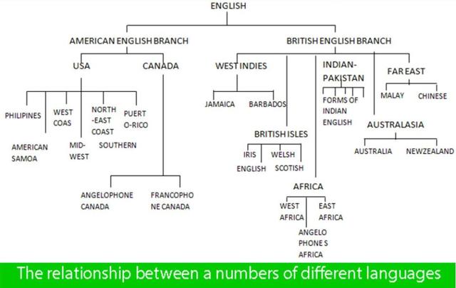 The diagram shows the relationship between a numbers of different languages. Summarise the information by selecting and reporting the main features, and make comparisons where relevant. 150 words