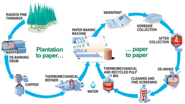 The diagram below shows the process by which paper is manufactured and recycled