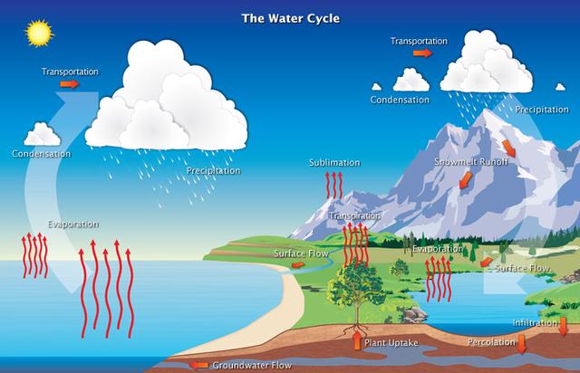 The diagram we shows how water recycles on sea to clouds, then the surface of the Earth, and finally back to ocean.