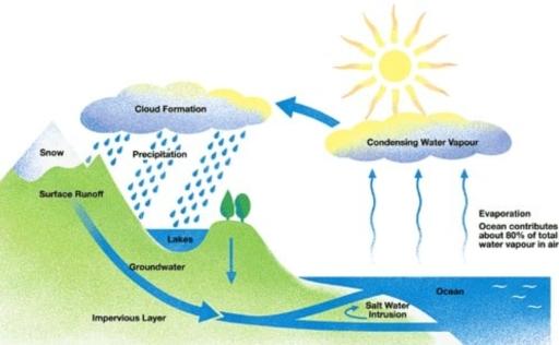 The diagram below shows the water cycle, which is the continuous movement of water on, above and below the surface of the Earth. Summarise the information by selecting and reporting the main features, and make comparisons where relevant.