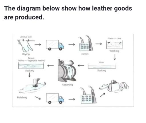 The diagram below shows how leather goods are produced. Summarise the information by selecting and reporting the main features, and making comparisons where relevant.