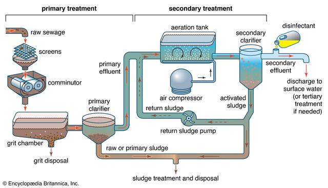 The diagram illustrates how sewage water is recycled
