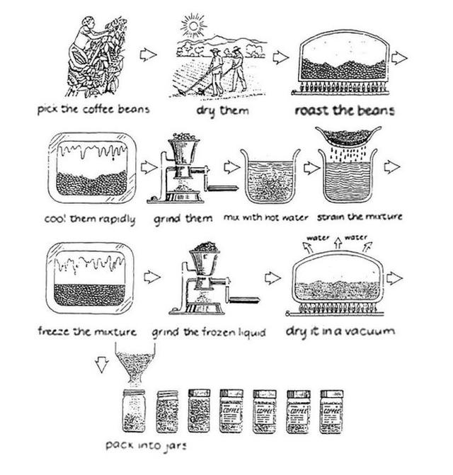 The diagram below shows how coffee is produced and prepared for sale in supermarkets and shops. Summarise the information by selecting and reporting the main features and make comparisons where relevant.