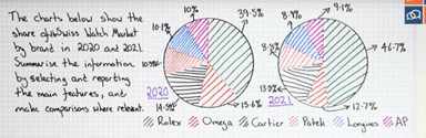 The Charts Below Show The Share Of The Swiss Watch Market By Brand In 