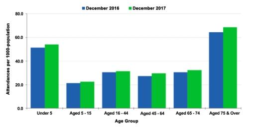 The chart below shows figures for attendances at hospital emergency care departments in Northern Ireland by age group in December 2016 and December 2017. Summarize the information by selecting and reporting the main features, and make comparisons where relevant.