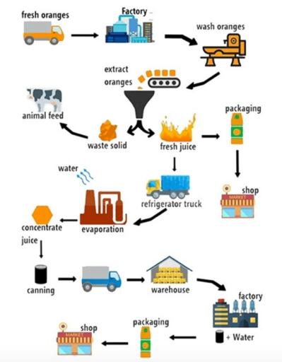 The diagram below shows how orange juice is produced.

Write at least 150 words.