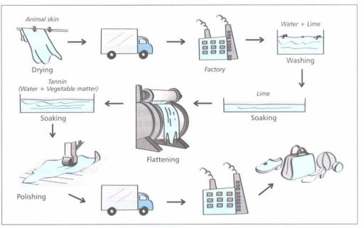 The diagram shows the stages involved in the process of making leather.