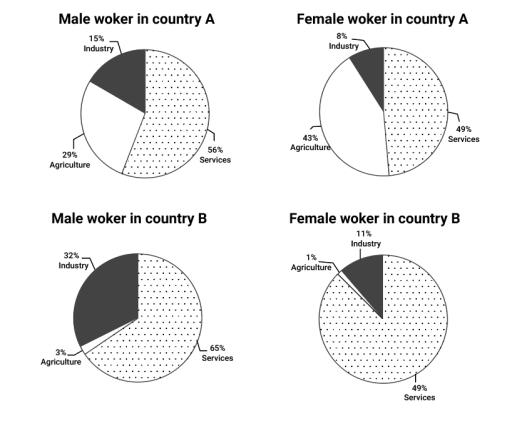 The charts below show the percentage of male and female worker in country A and country B. Summarize the information by selecting and reporting the main features and make comparisons where relevant.