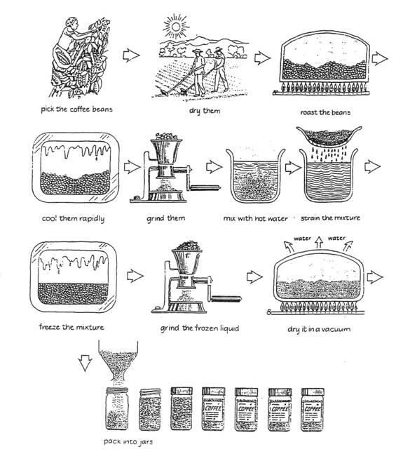 The diagram below shows how coffee beans are processed.

Summarize the information by selecting and reporting the main featuresl and make comparisons where relevant.