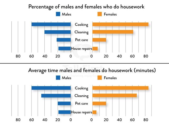 The first chart below shows the percentages of women and men in a country involved in some kinds of home tasks (cooking, cleaning, pet caring and repairing the house. The second chart shows the amount of time each gender spent on each task per day.

Summarise the information by selecting and reporting the main features and make comparisons where relevant.

You should write at least 150 words.