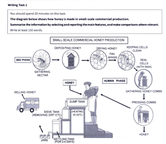 The diagram below shows how honey is made in small-scale commercial production.