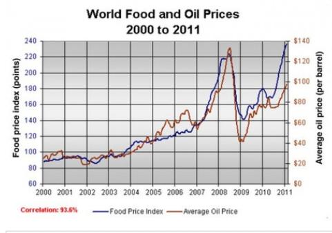The graph below shows changes in global food and oil prices between 2000 and 2011.