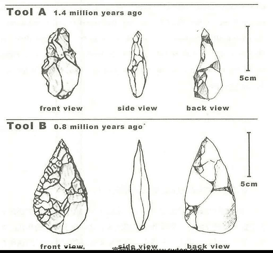 The diagram below shows the development of cutting tools in the stone age. Summarize the information by selecting and reporting the main features and make comparisons where relevant.