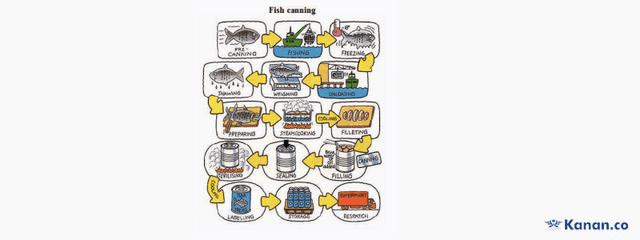 The diagrams below show how the fish canning is done. Summarise the information by selecting and reporting the main features, and make comparisons where relevant.