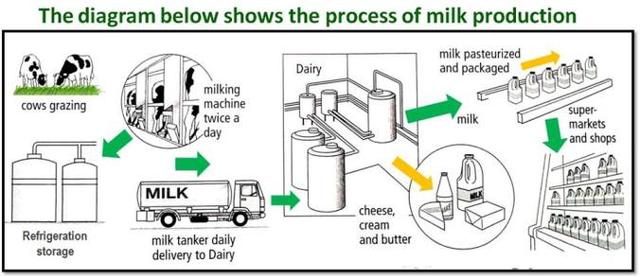 The diagram shows the process by which milk and related products are produced. Summarize the information by selecting and reporting the main features.

Write at least 150 words.