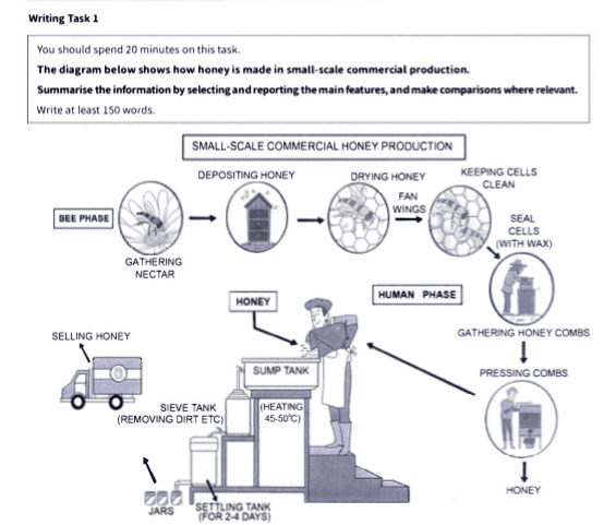 The diagram below shows how honey is made in small-scale commercial production. Summarise the information by selecting and reporting the main features, and make comparisons where relevant.