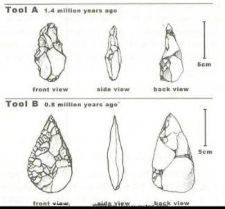 The diagram below shows the development of the cutting tool in the Stone Age. Summarise the information by selecting and reporting the main features and make comparisons where relevant.