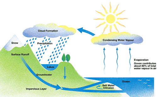 The Diagram below describes the Water cycle and how water is used in Australia. Write an academic report indicating the main features and how they are inter-related.