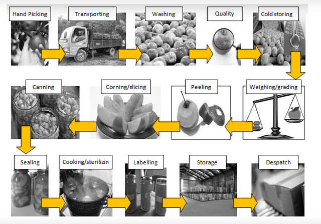 The diagram shows how apple is canned. Summarise the information by selecting and reporting the main features, and make comparisions where relevant. Write at elast 150 words.