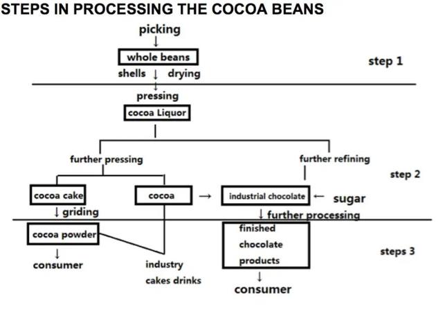 The diagram below shows the stages in processing cocoa beans. Summarise the information by selecting and reporting the main features, and make comparisons where relevant.