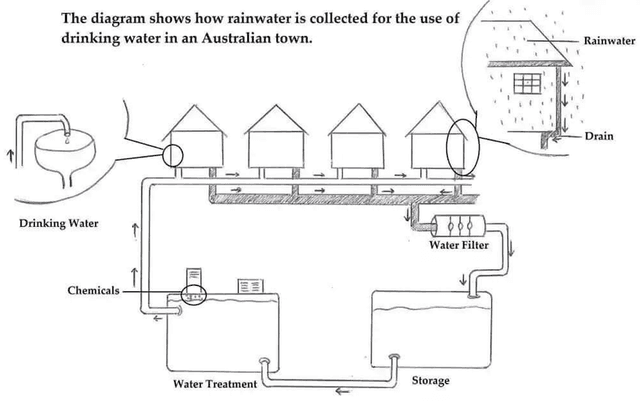 Write a report with this question: The diagram shows how rainwater is collected for the use of drinking water in an Australian town. (Đề thi ngày 25/05/2020)