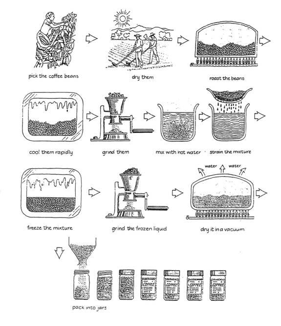 The diagram below shows the procedure for making a cup of coffee. Summarize the information by selecting and reporting the main features, and make comparisons where relevant.