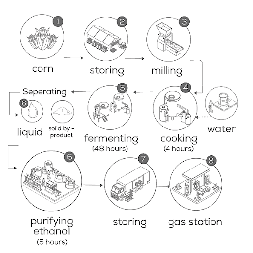 The diagram shows how ethanol is produced from corn