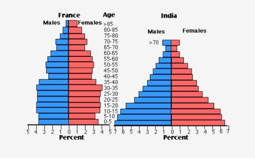 The charts below compare the age structure of the populations of France and India in 1984