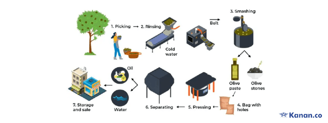 The diagram below shows how Olive Oil is manufactured.Write a report for a university lecturer describing the information below.