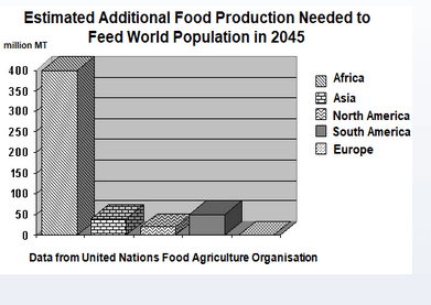 The given bar graph shows the estimated continent-wise increase in food production (in million MT) needed to feed the world population in 2045. Summarise the information by selecting and reporting the main features, and make comparisons where relevant.