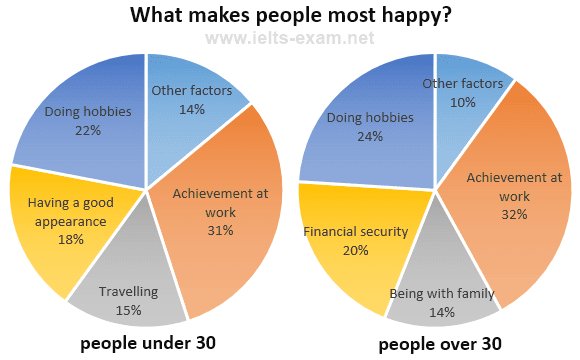 The pie chart show what makes people most happy for two different age groups. 

Summarize the information by selecting and reporting the main features, and make comparisons where relevant.