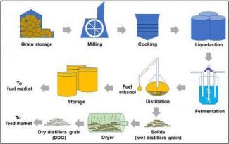 The diagram below shows the production of ethanol oil from grain. Summarize the information by selecting and reporting the main features and make comparisons where relevant.