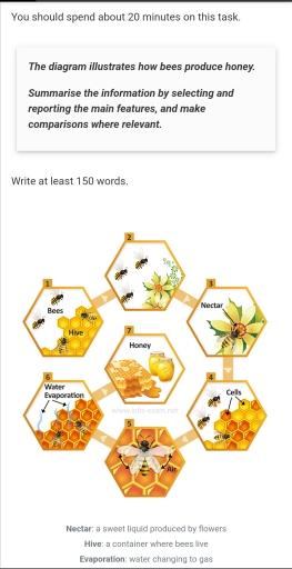 The diagram illustrates how bees produce honey. Summarise the information by selecting and reporting the main features, and make comparisons where relevant.
