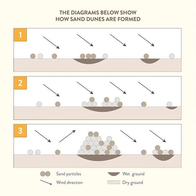 The diagrams below show one way in which sand dunes' are formed. Summarise the information by selecting and reporting the main features, and male comparisons where relevant.