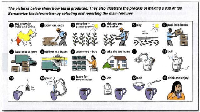 The diagram below shows how the tea is produced. The also illustrate the process of making a cup of tea