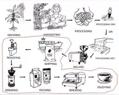 The diagram shows how coffee is produced from beans.