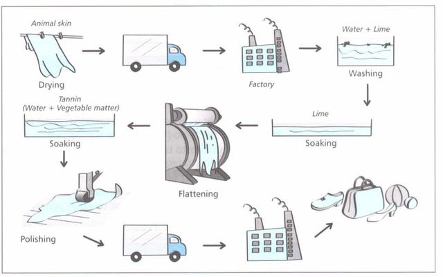 The diagram below show how leather goods are produced.