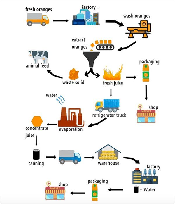 The diagram below shows how orange juice is produced.