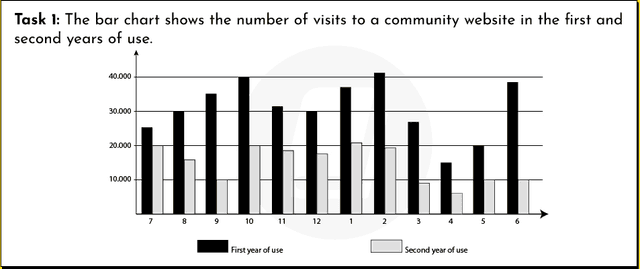 The bar charts below shows the number of visits to a community website in the first and second year of use. (rewrite)