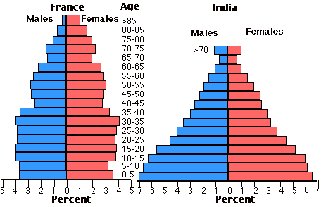 the charts below compare the age structure of the populations of France and India in 1984